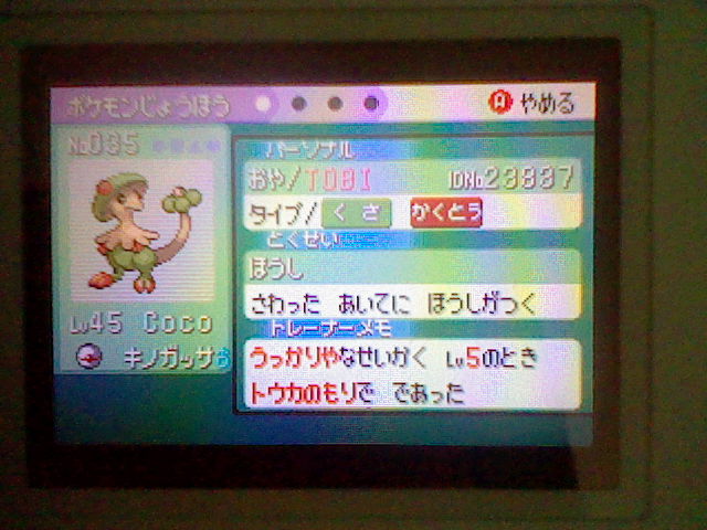 breloom_coco