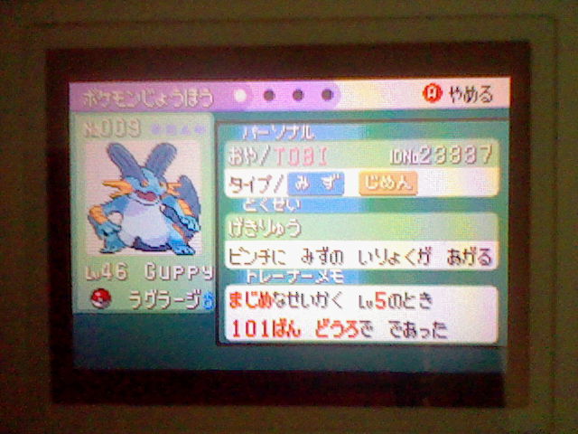 swampert_guppy